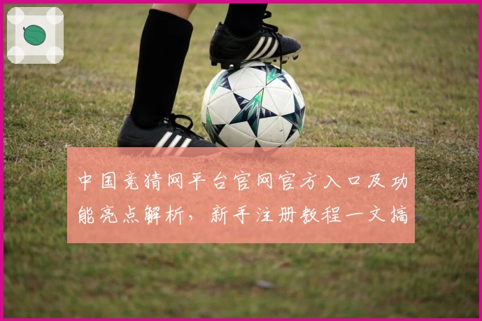 中国竞猜网平台官网官方入口及功能亮点解析，新手注册教程一文搞定