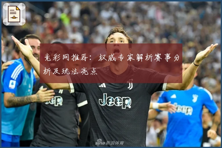 竞彩网推荐：权威专家解析赛事分析及玩法亮点