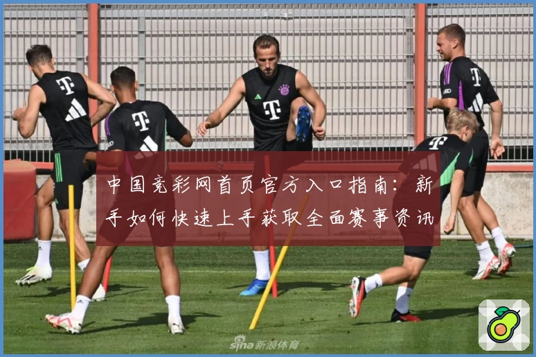 中国竞彩网首页官方入口指南：新手如何快速上手获取全面赛事资讯