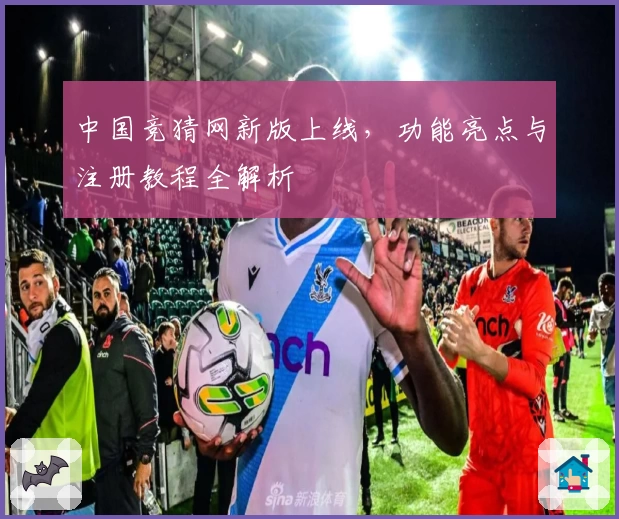 中国竞猜网新版上线，功能亮点与注册教程全解析