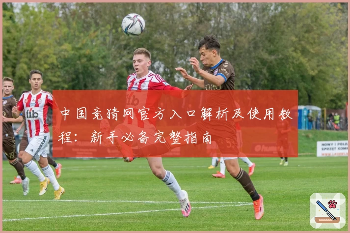 中国竞猜网官方入口解析及使用教程：新手必备完整指南